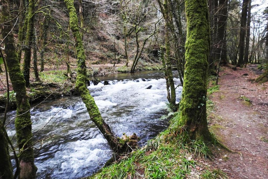 Вилла Cargibbitt Annexe Лискерд Экстерьер фото